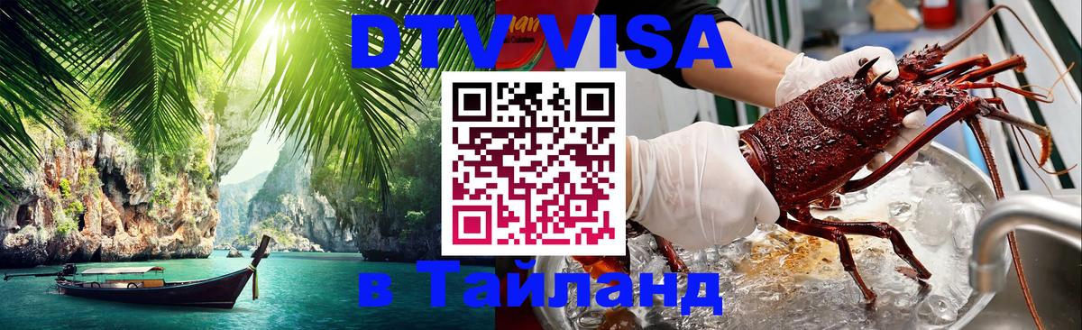 Оформление DTV визы под ключ: стоимость и тарифы, только загранпаспорт - 18.11.2025 